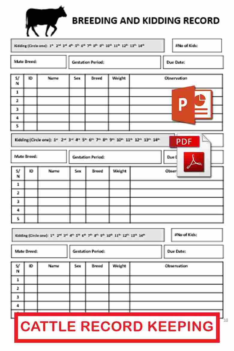 beef-cattle-record-keeping-forms-template